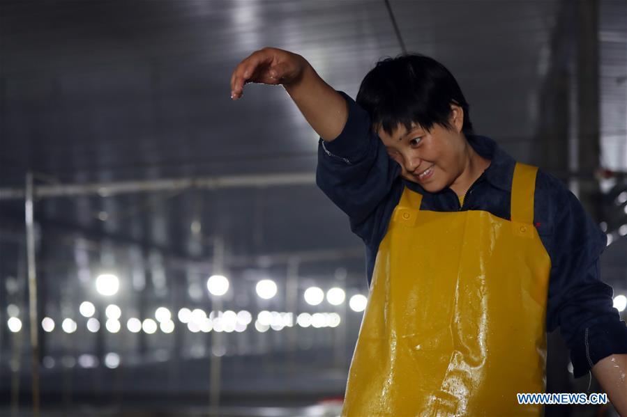 CHINA-LIAONING-GAIZHOU-FISHERWOMAN-TURBOT RAISING (CN)