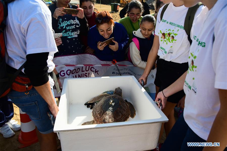 MALTA-MGARR-TURTLE-RELEASE