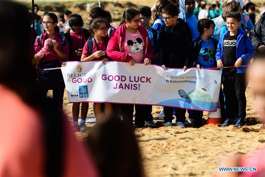 MALTA-MGARR-TURTLE-RELEASE