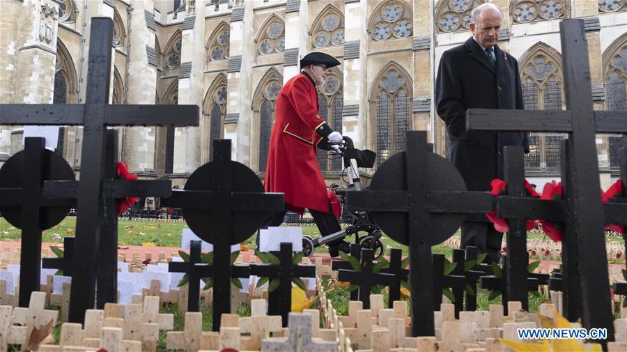 BRITAIN-LONDON-91ST FIELD OF REMEMBRANCE-WESTMINSTER ABBEY