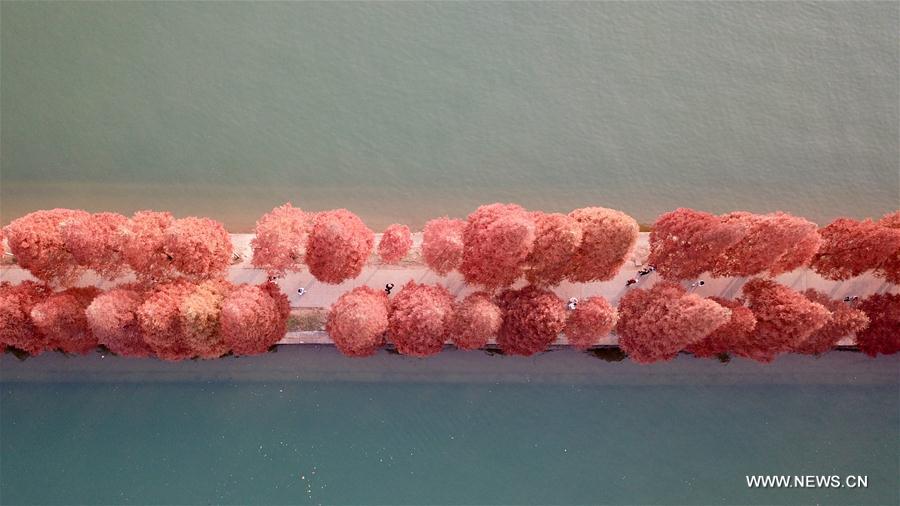 CHINA-HUNAN-CHANGSHA-NIANJIA LAKE-SCENERY (CN)