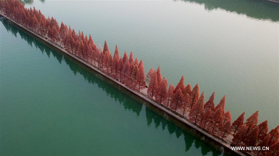 CHINA-HUNAN-CHANGSHA-NIANJIA LAKE-SCENERY (CN)