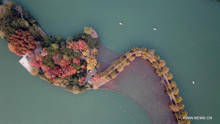 CHINA-HUNAN-CHANGSHA-NIANJIA LAKE-SCENERY (CN)