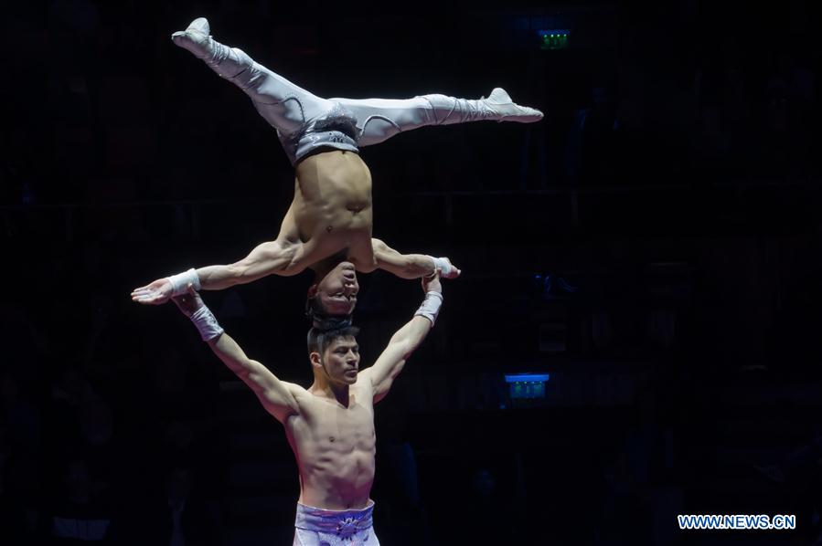 HUNGARY-BUDAPEST-CIRCUS FESTIVAL
