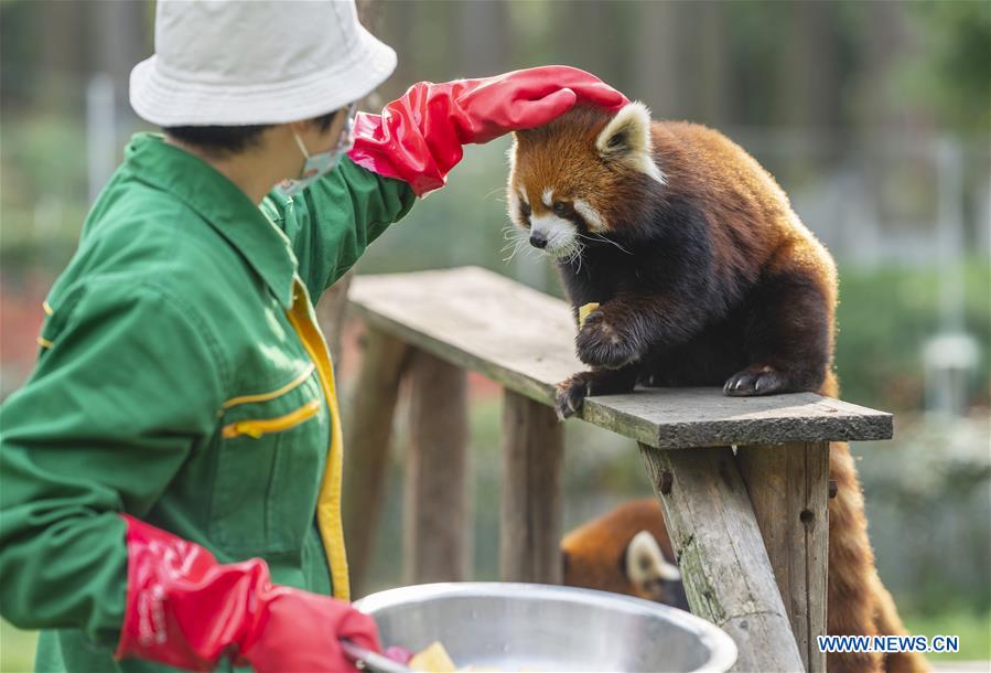 CHINA-HUBEI-WUHAN-COVID-19-ZOO (CN)