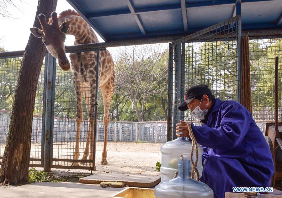 CHINA-HUBEI-WUHAN-COVID-19-ZOO (CN)