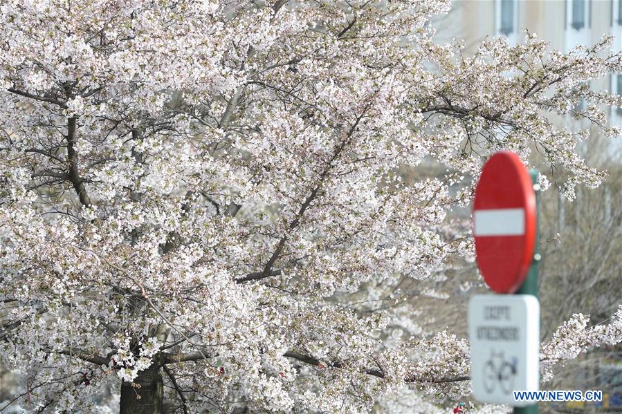 BELGIUM-BRUSSELS-COVID-19-MEASURES