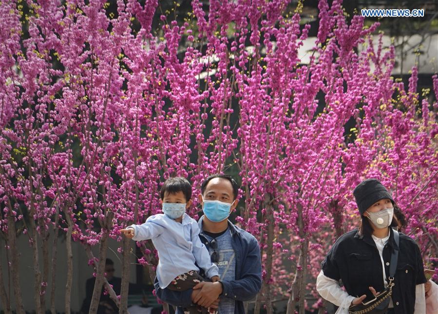 CHINA-HENAN-ZHENGZHOU-BLOSSOM (CN)