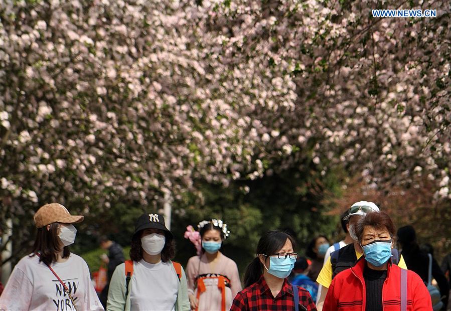 CHINA-HENAN-ZHENGZHOU-BLOSSOM (CN)