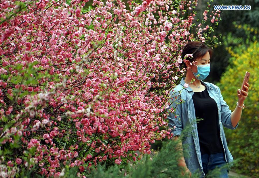 CHINA-HENAN-ZHENGZHOU-BLOSSOM (CN)