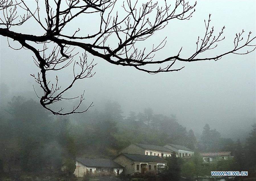 CHINA-HENAN-HUANGBAI MOUNTAIN-SCENERY (CN)