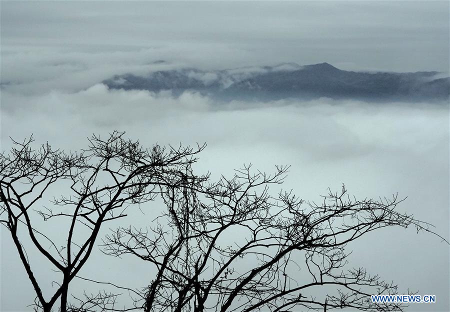 CHINA-HENAN-HUANGBAI MOUNTAIN-SCENERY (CN)
