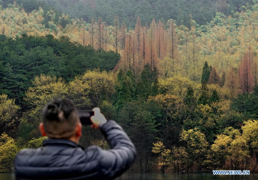 CHINA-HENAN-HUANGBAI MOUNTAIN-SCENERY (CN)