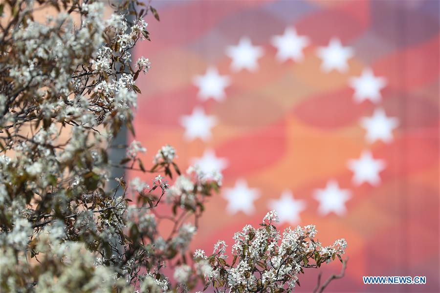 BELGIUM-BRUSSELS-COVID-19 