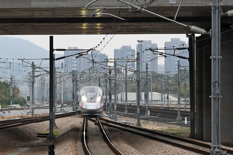 CHINA-GUANGDONG-SHENZHEN-TRAIN FROM WUHAN-ARRIVAL (CN)