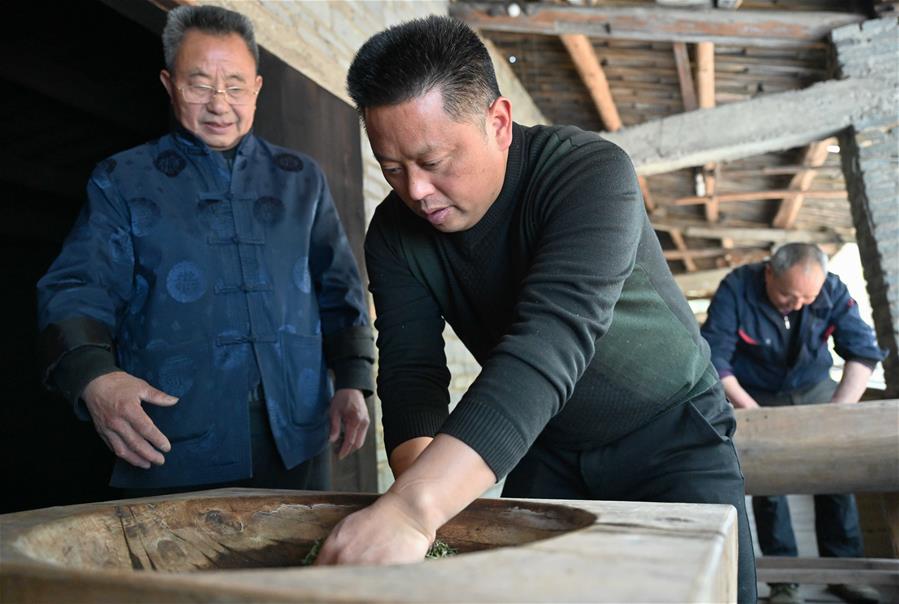 CHINA-FUJIAN-WUYISHAN-BLACK TEA-HARVEST-MAKING (CN)