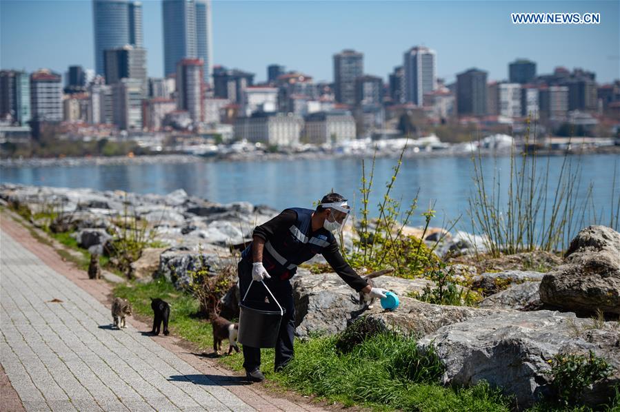 TURKEY-ISTANBUL-COVID-19-STRAY ANIMALS