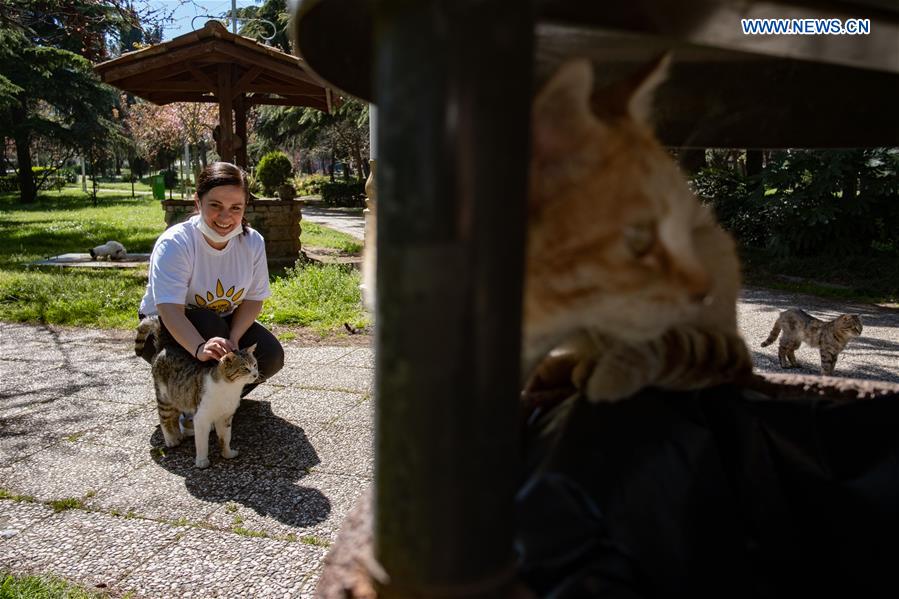 TURKEY-ISTANBUL-COVID-19-STRAY ANIMALS
