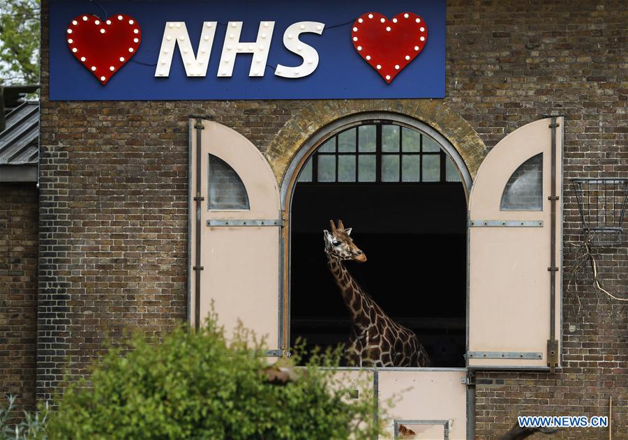 Illuminated sign in support of NHS seen at London Zoo Xinhua English.news.cn
