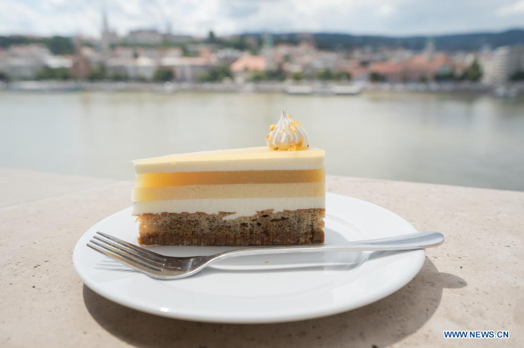 "Sunflower" wins Cake of Hungary 2021 contest Xinhua English.news.cn