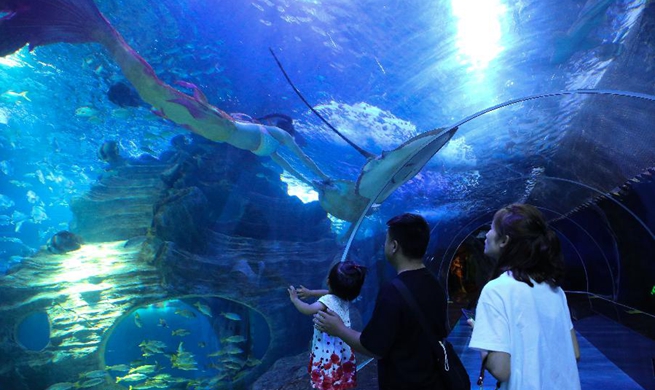 Visitors enjoy mermaid show at aquarium in Guiyang, China's Guizhou