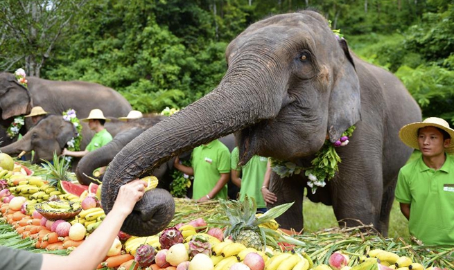 World Elephant Day celebrated in SW China's Yunnan