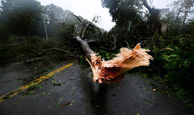 Super Typhoon Mangkhut lands on south China coast