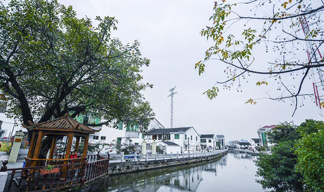 Low-carbon lifestyle promoted in China's Zhejiang