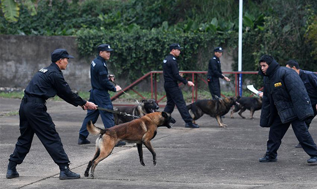 Railway policemen conduct drill with police dogs for Spring Festival travel rush in Nanning