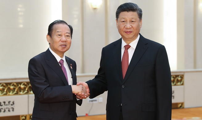 Xi meets special envoy of Japanese prime minister