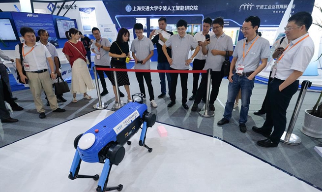 9th China Smart City and Intelligent Economy Expo opens in Ningbo