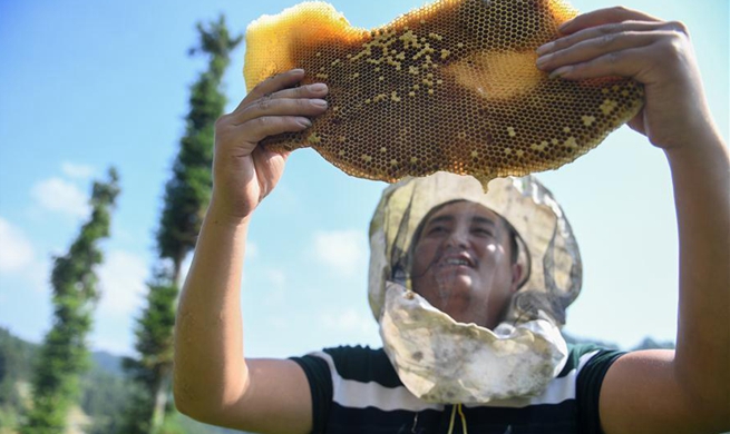 Beekeeper in China's Hunan benefits from targeted poverty alleviation project