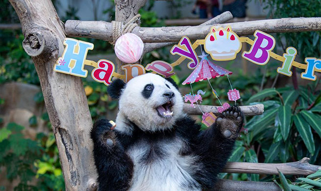 Giant Panda "Yi Yi" celebrates second birthday in Malaysia