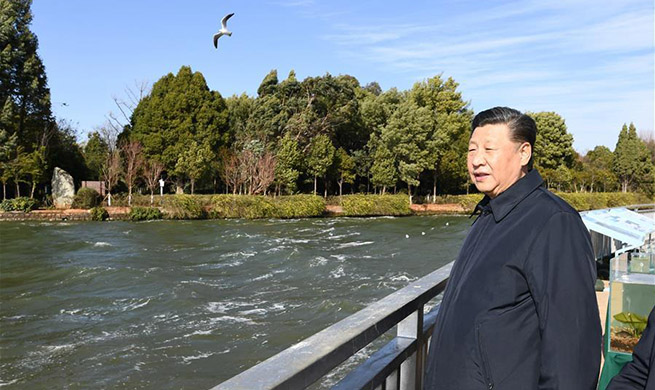Xi inspects ecological wetland of Dianchi Lake