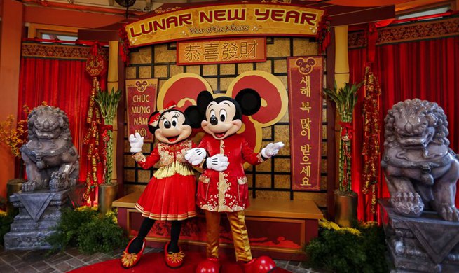 Xinhua Headlines: Global landmarks, attractions turn red to celebrate China's Year of the Rat