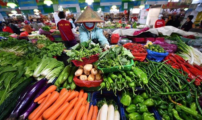 Daily necessities supply remains steady in major Chinese cities amid epidemic