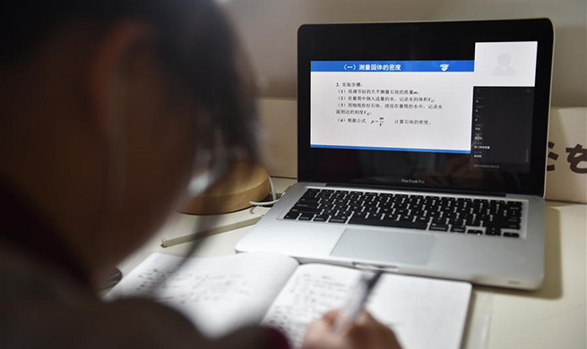 China Focus: Schools start online courses as epidemic control postpones new semester