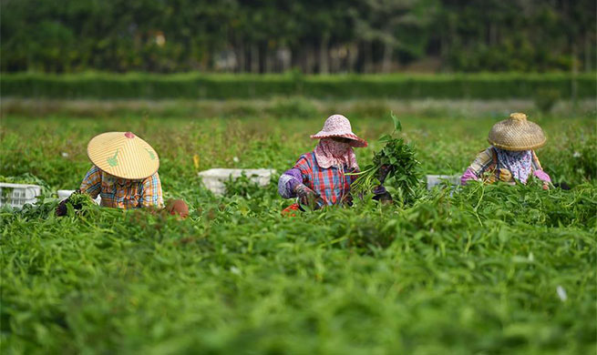 Various services ensure vegetable supply amid epidemic