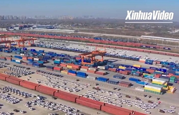 Xinhua Commentary: China-EU trade braves headwinds to boom