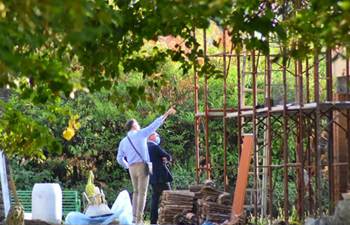 Man crushed to death by truck,11th workplace death in 2 days