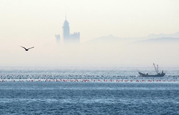 View of advection fog above sea in Yantai, E China
