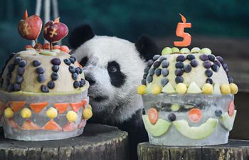 Giant panda "Yuan Zai" celebrates 5th birthday at Taipei Zoo