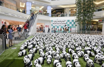 "1,600 Pandas" begins Canada exhibition tour in Vancouver