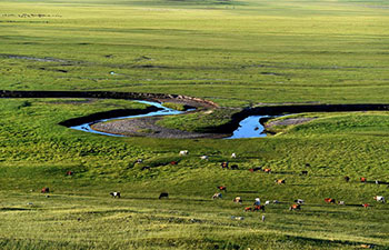 Scenery of prairie in north China's Inner Mongolia