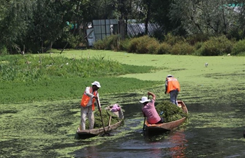 Workers clean up Dal Lake for tourist attraction in Srinagar city