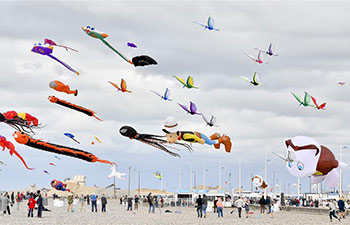 In pics: 20th Dieppe Int'l Kite Festival