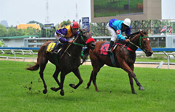 Horse racing game held at Nang Loeng race course in Bangkok