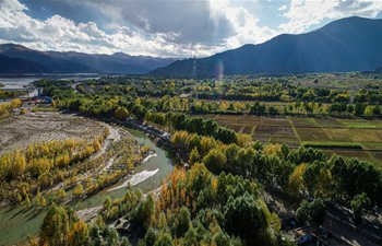 Autumn scenery along Yarlung Zangbo River in SW China's Tibet