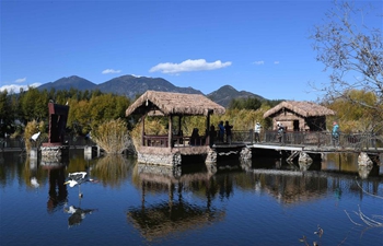 Tourists visit Lashihai wetland park in SW China's Yunnan