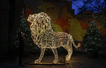 "Christmas at London Zoo" launched in Britain